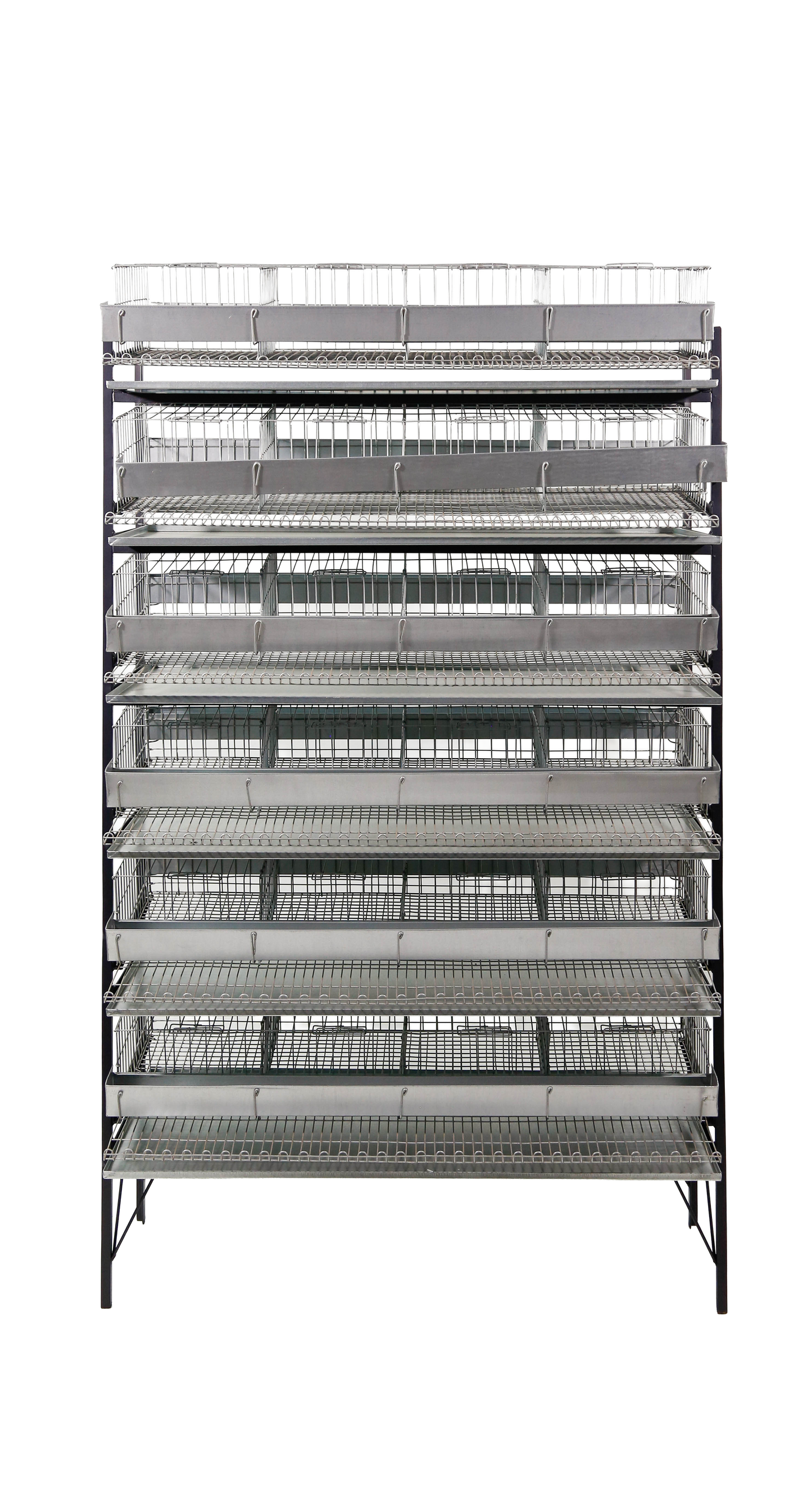 EXPOSITOR C/ CAPACIDADE P/ ATÉ 6 GAIOLAS CODORNAS P/240 AVES CD04