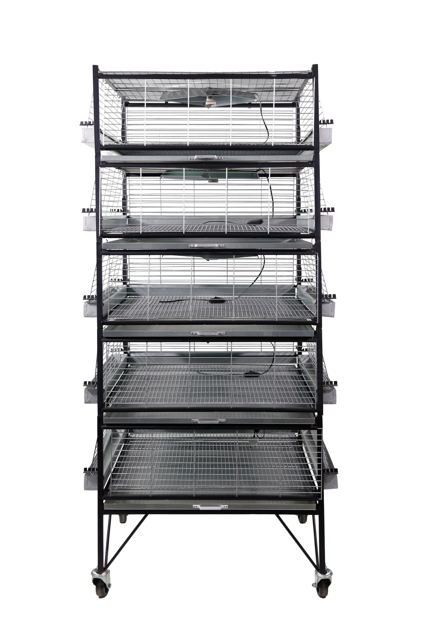 Criadeira p/ pintinhos/codornas 5 andares- capacidade p/ até 500 pintinhos med 75x80x185cm CR03