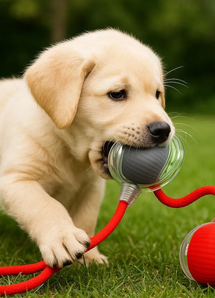 Bola Elétrica Interativa Brinquedo Inteligente Gato Cachorro