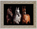 776 - QUADRO CAVALOS
