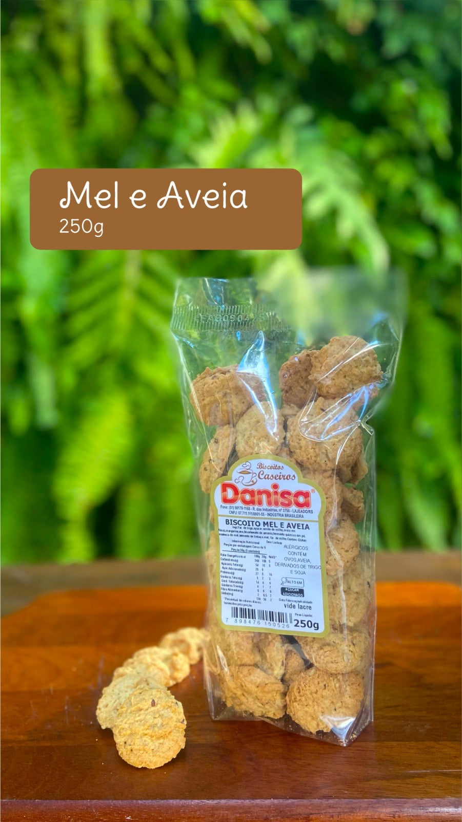 BISCOITO DE MEL E AVEIA