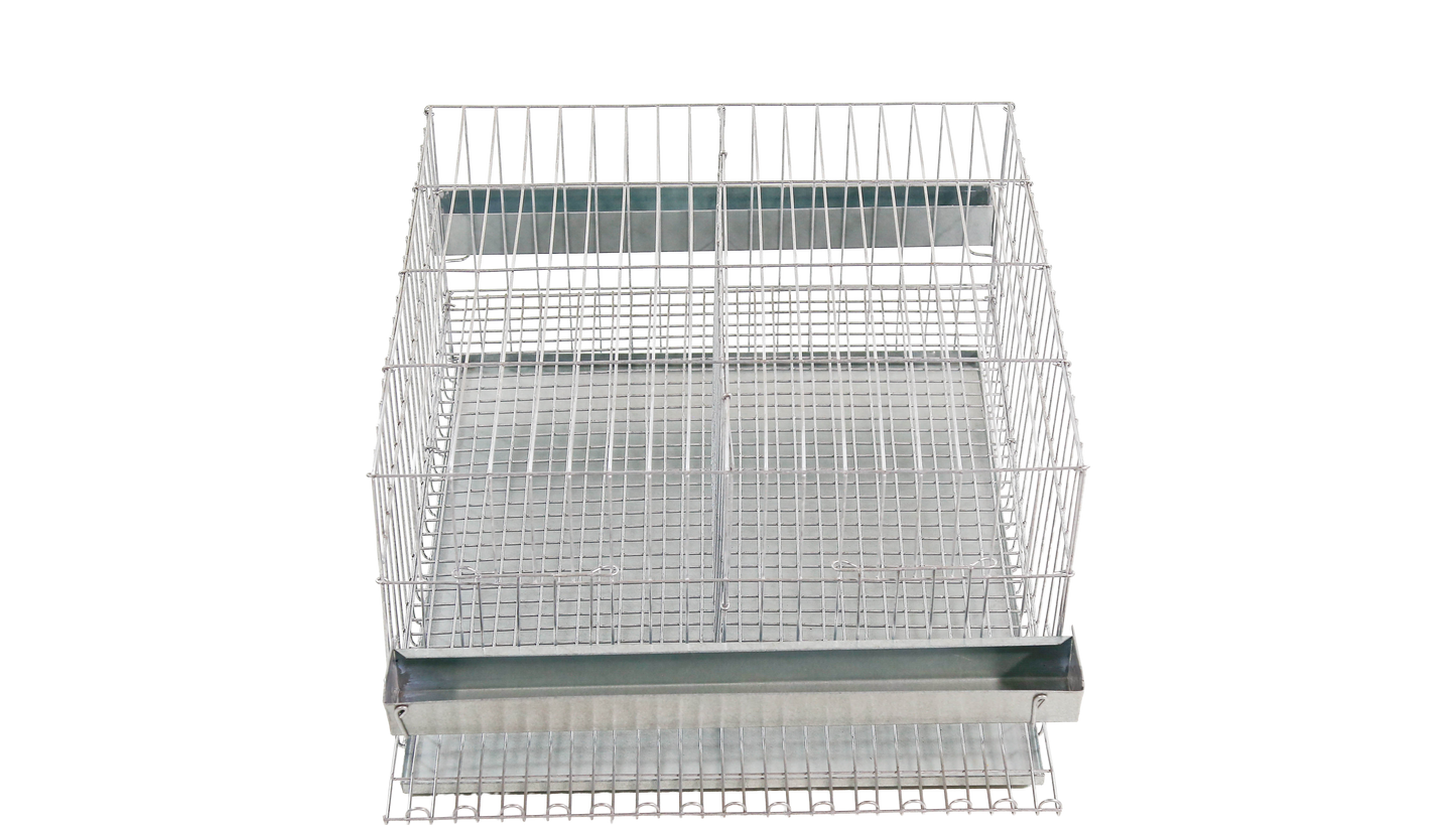 GAIOLA P/ CODORNA POSTURA C/ 2 BOXES, P/20 AVES, 63X47X25CM, C/ BANDEJA, COMEDOURO/BEBEDOURO, CH.GALV. CD02