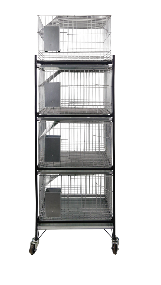 EXPOSITOR C/4 GAI.P/COELHOS(C02), C/ ESTRUTURA DE FERRO BANDEJAS E COMED. AUTOMATICO C06