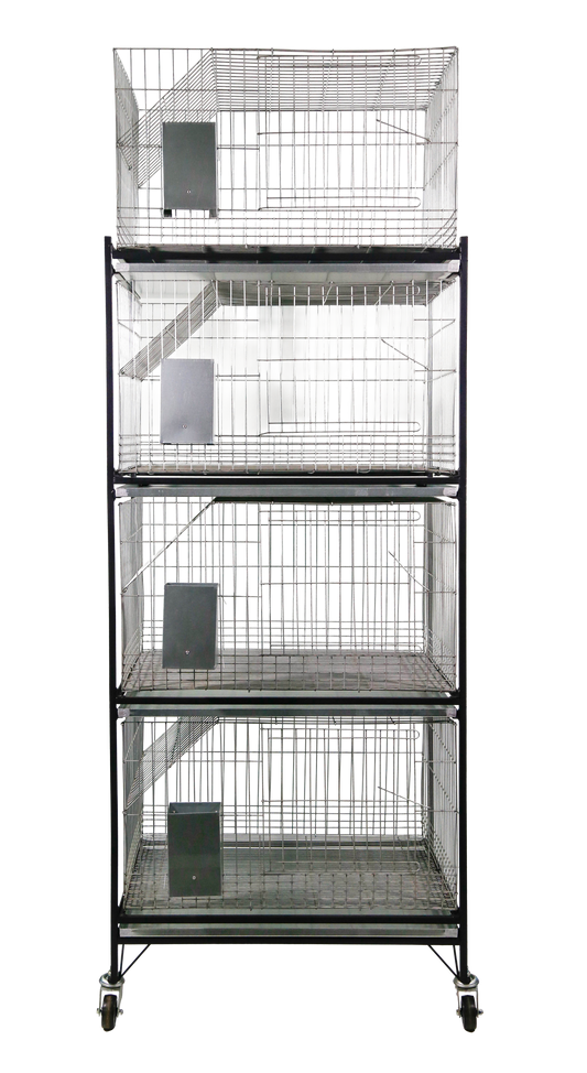 EXPOSITOR C/4 GAI. P/COELHOS(C01), C/ ESTRTURA DE FERRO BAND. E COMED. AUTOMATICOS C05