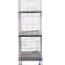Pássaros 