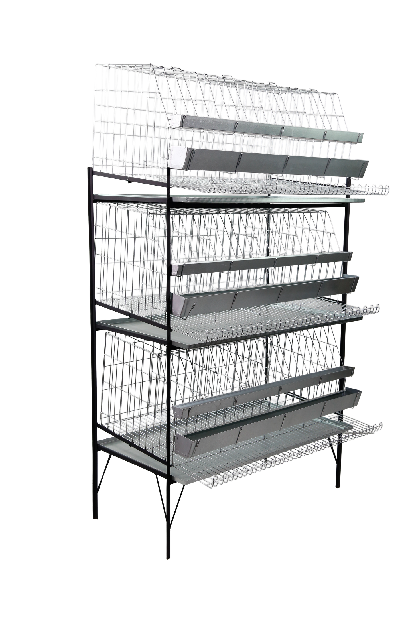 Expositor c/capacidade p/ até 3 gaiolas galinha de postura (g09), cap. p/ até 24 aves. G02