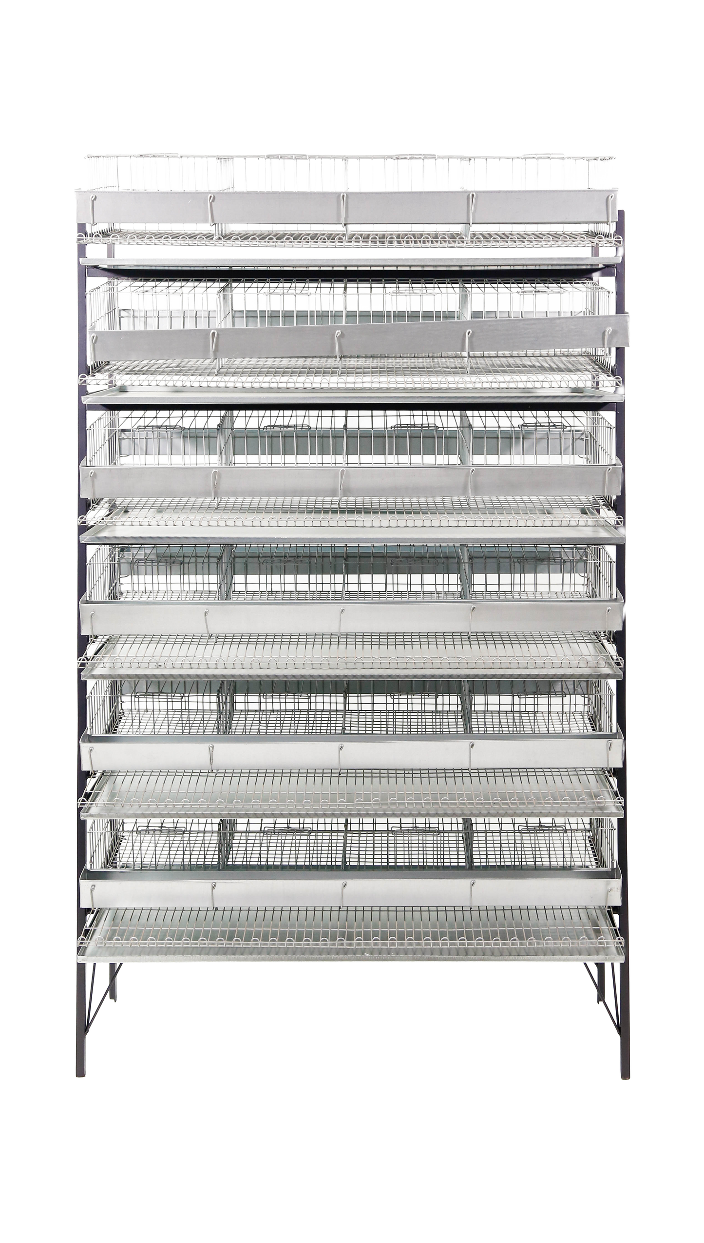 EXPOSITOR C/ CAPACIDADE P/ ATÉ 6 GAIOLAS CODORNAS P/240 AVES CD04