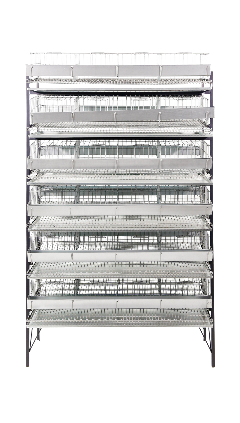 EXPOSITOR C/ CAPACIDADE P/ ATÉ 6 GAIOLAS CODORNAS P/240 AVES CD04