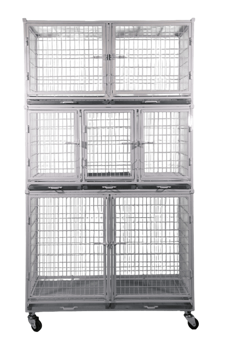 D70 - Expositor p/cães c/07 boxes,  c/pintura eletrostática branco e rodas