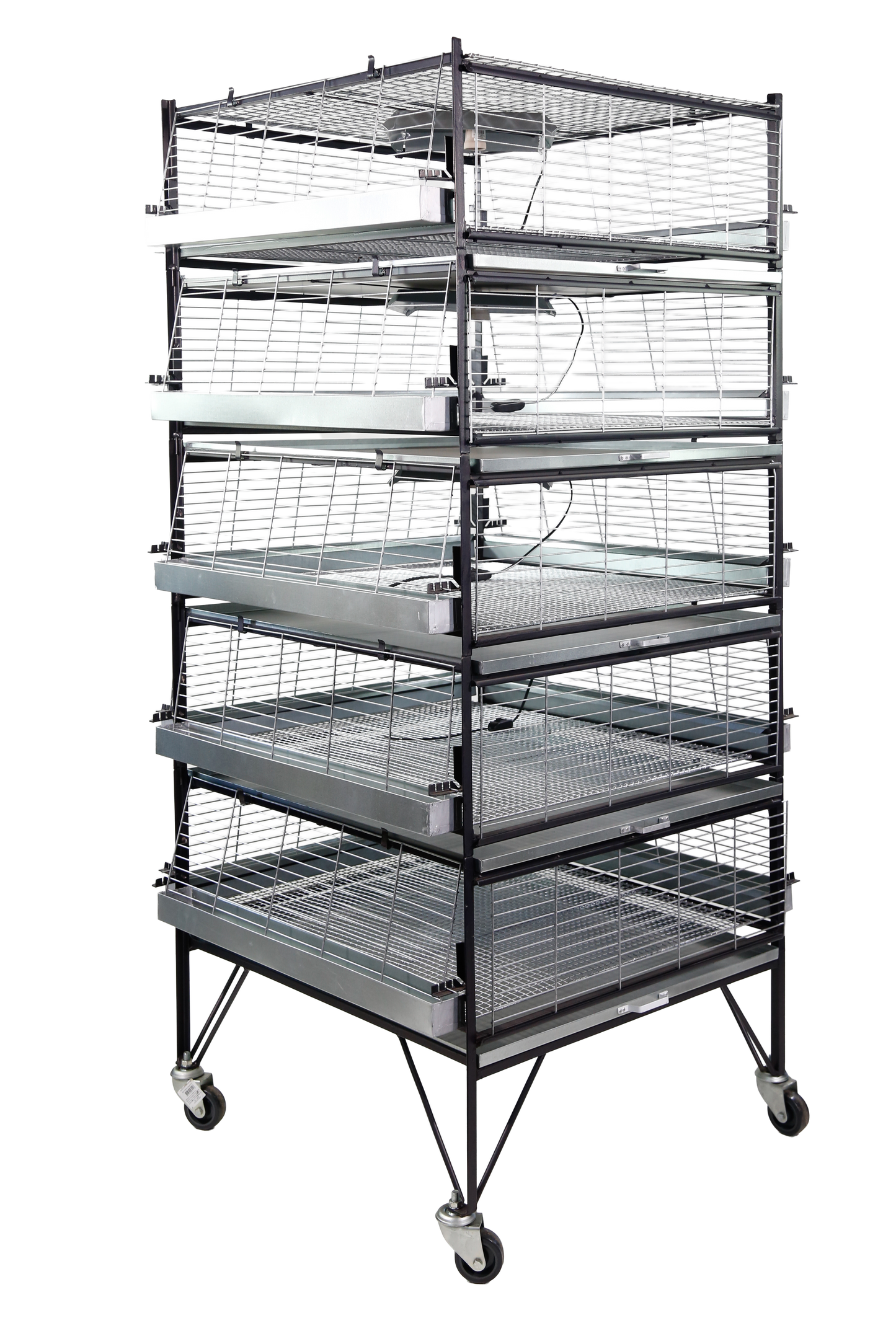 Criadeira p/ pintinhos/codornas 5 andares- capacidade p/ até 500 pintinhos med 75x80x185cm CR03