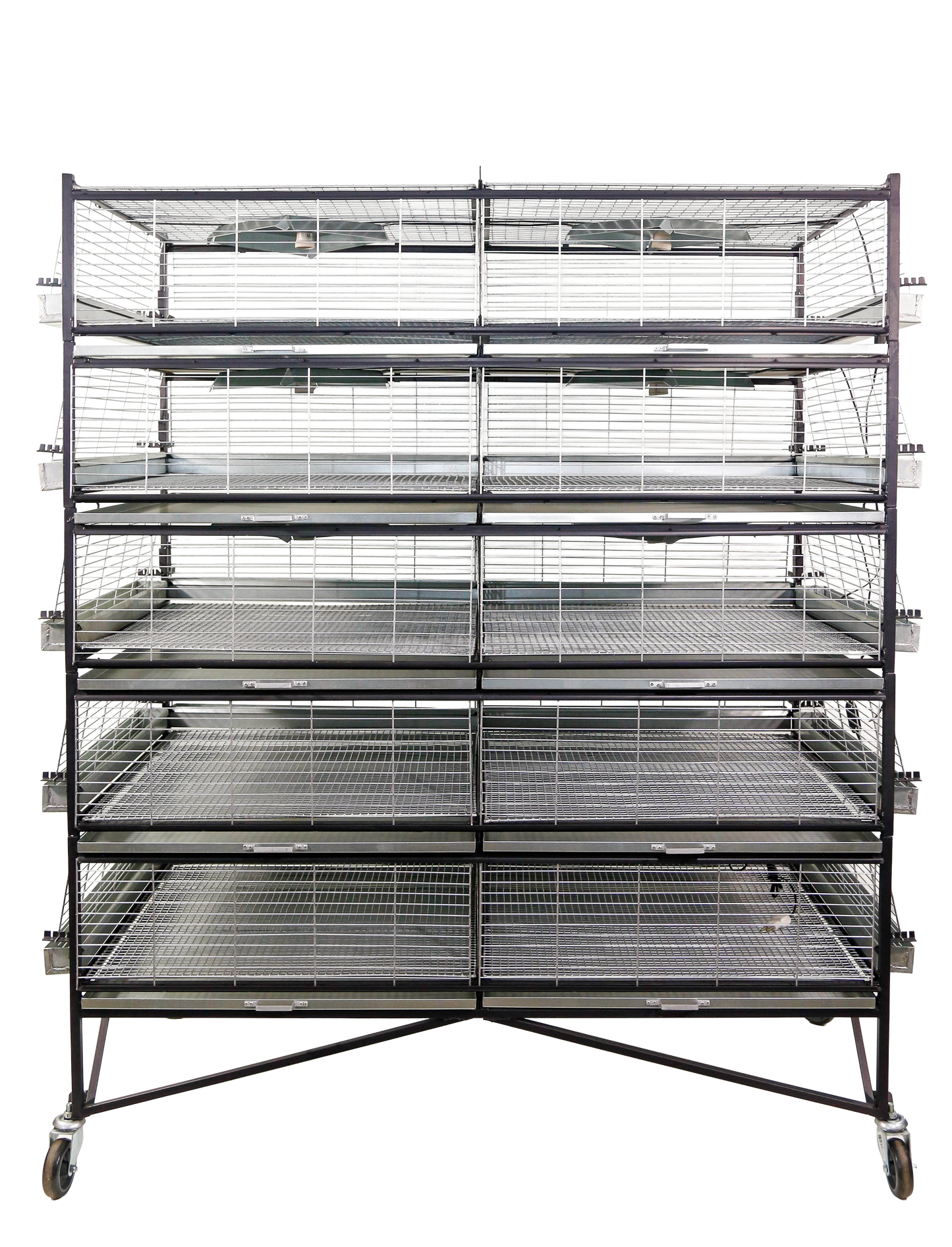 Criadeira p/ pintinhos/codornas com até 5 andares, capacidade para até 1000 pintinhos de um dia MED 150x80x185cm- CR01