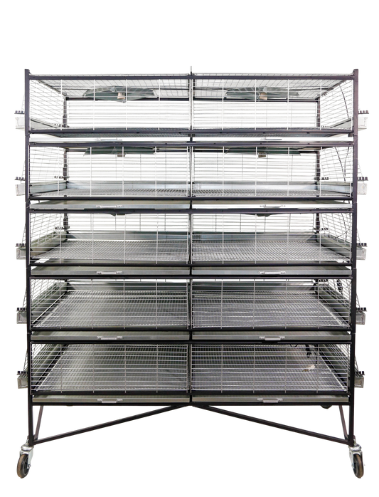 Criadeira p/ pintinhos/codornas com até 5 andares, capacidade para até 1000 pintinhos de um dia MED 150x80x185cm- CR01