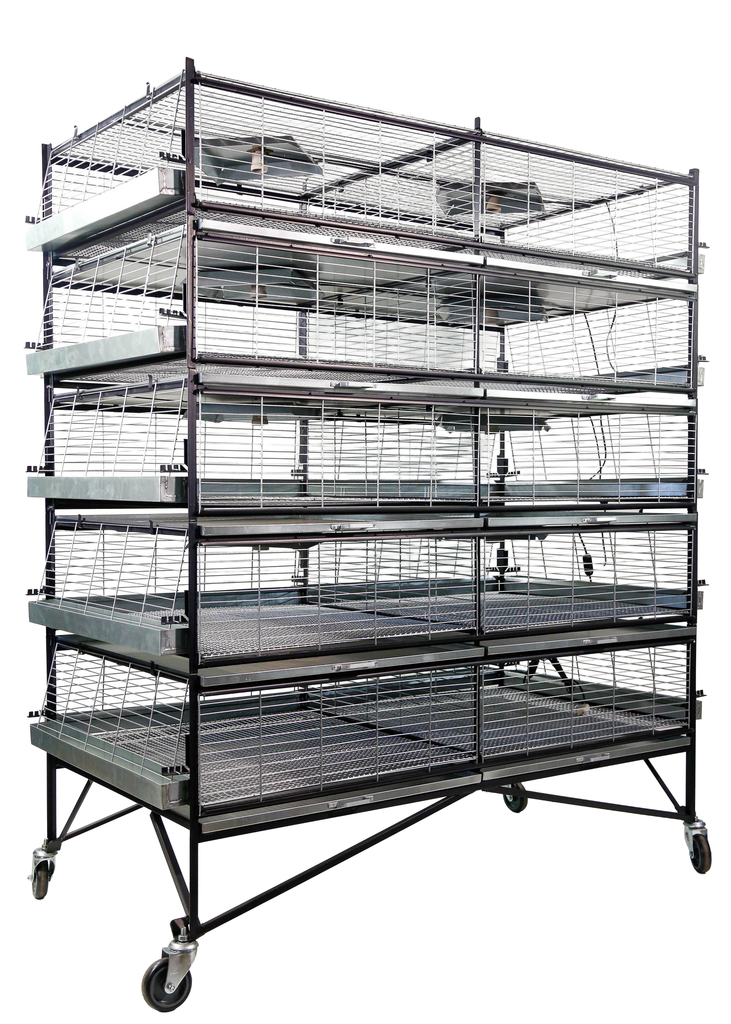 Criadeira p/ pintinhos/codornas com até 5 andares, capacidade para até 1000 pintinhos de um dia MED 150x80x185cm- CR01