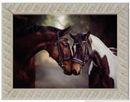 776 - QUADRO CAVALOS