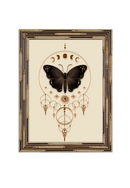 347 - QUADRO MISTICO