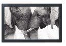 846 - QUADRO ELEFANTE