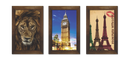625 - QUADROS