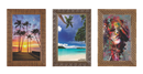 425 - QUADROS