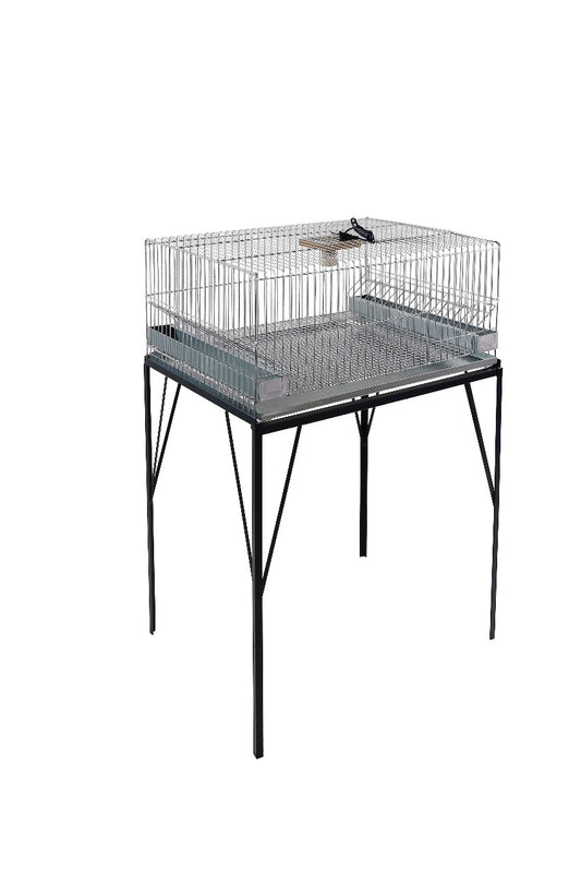 Gaiola para pintinhos com capacidade para até 40 pintinhos de um dia CR10