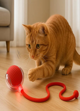 Bola Elétrica Interativa Brinquedo Inteligente Gato Cachorro