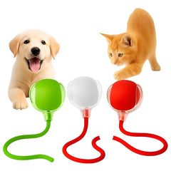 Collection image for: Pet Shop