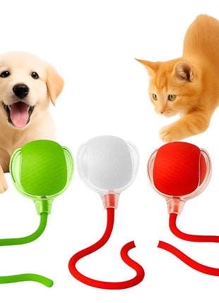 Bola Elétrica Interativa Brinquedo Inteligente Gato Cachorro