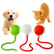 Pet Shop