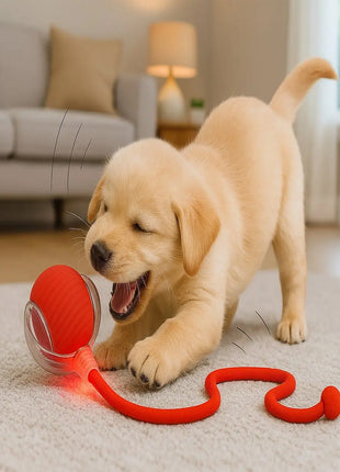 Bola Elétrica Interativa Brinquedo Inteligente Gato Cachorro