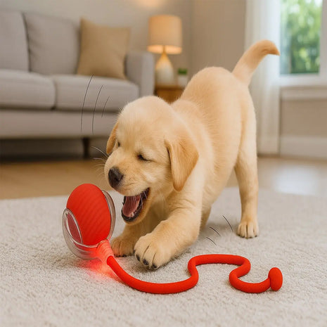Bola Elétrica Interativa Brinquedo Inteligente Gato Cachorro